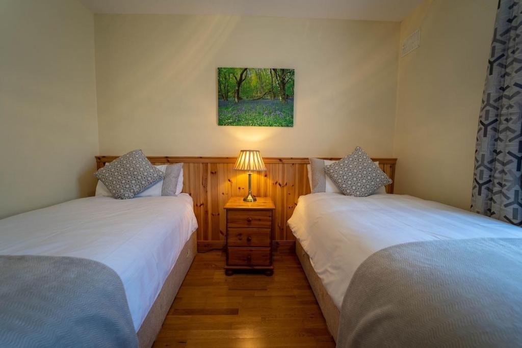 Villa Burnham View Dingle Exterior foto