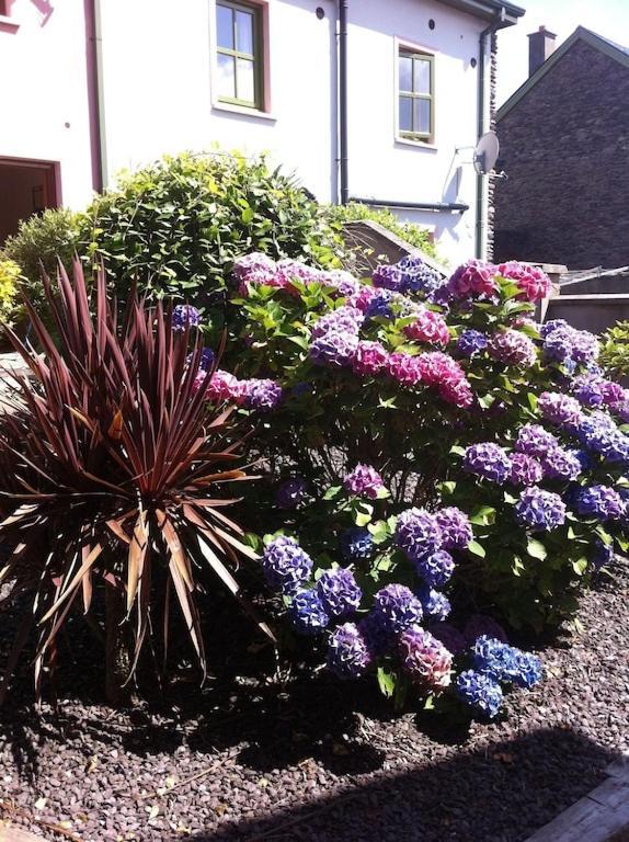 Villa Burnham View Dingle Exterior foto